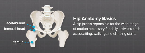 WHERE EXACTLY IS THE HIP? 