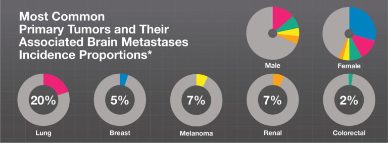 how-common-are-brain-metastases-brainlab